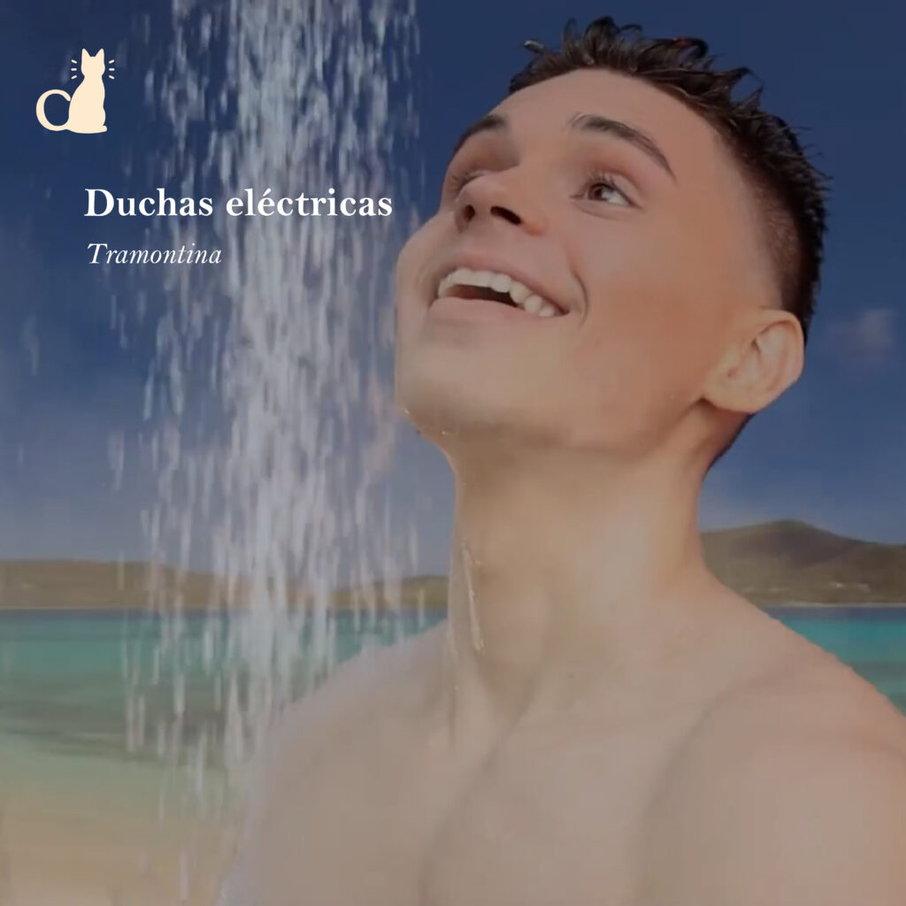 pagweb mesa de trabajo 1 copia