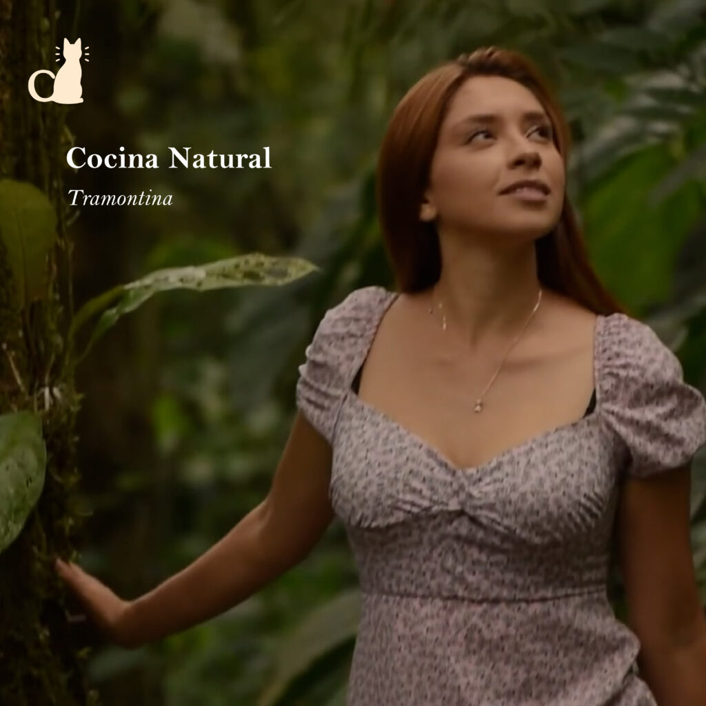 pagweb mesa de trabajo 1 copia 5